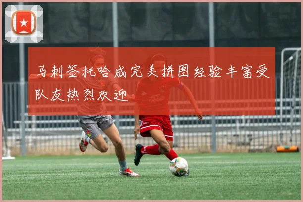 马刺签托哈成完美拼图经验丰富受队友热烈欢迎